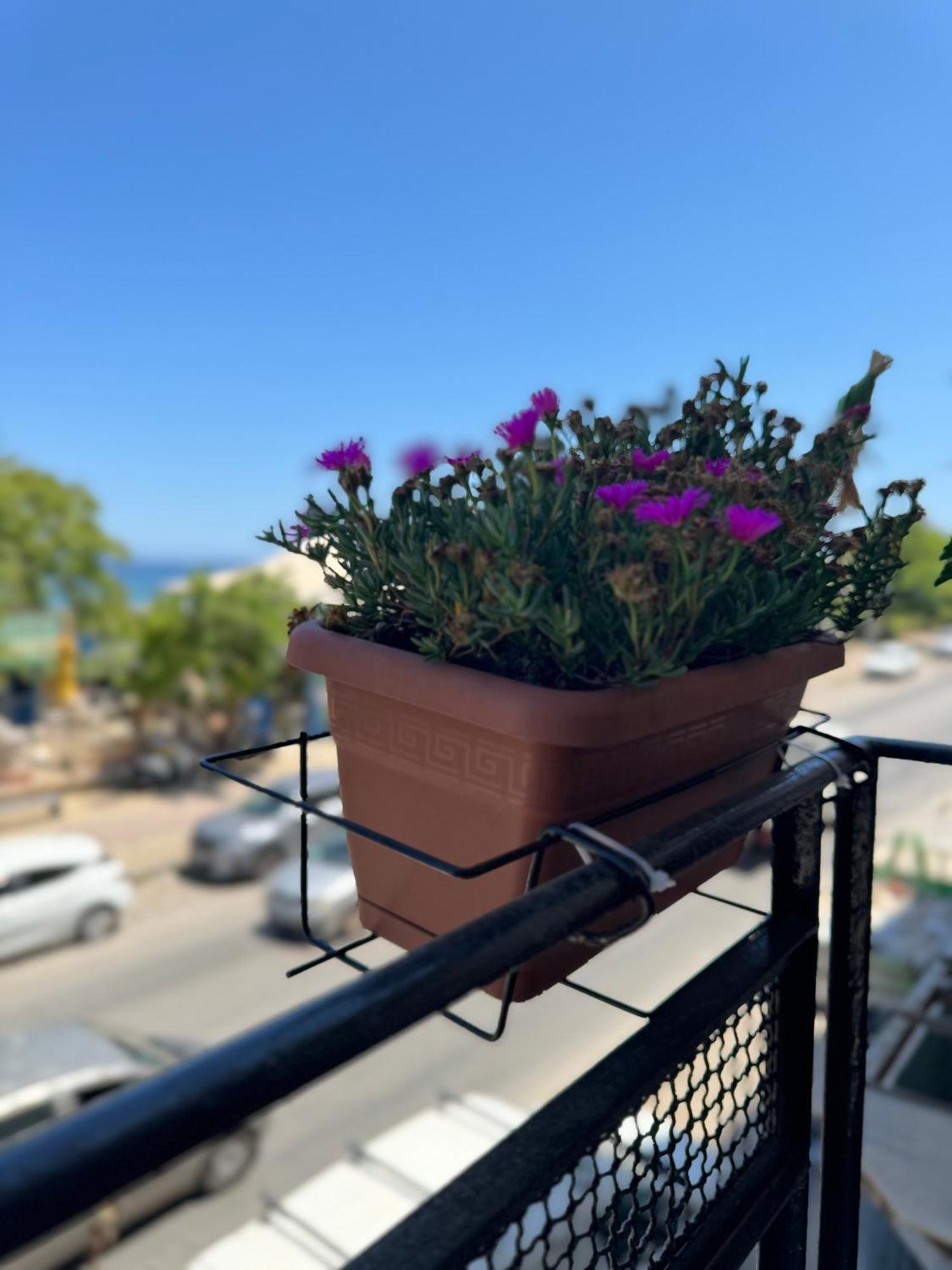 Domus Fysi Guest house